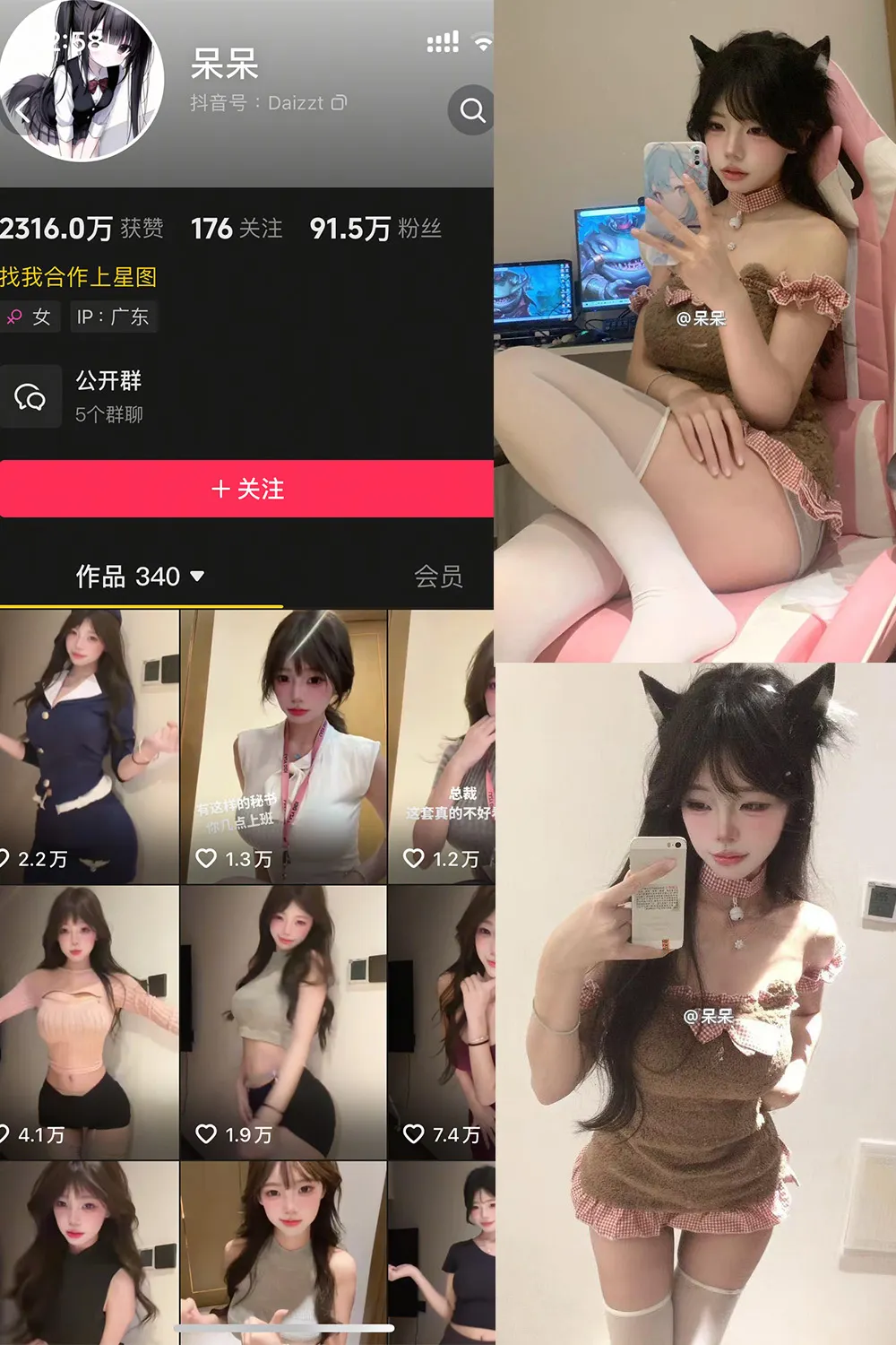 微密圈 | 喵领域