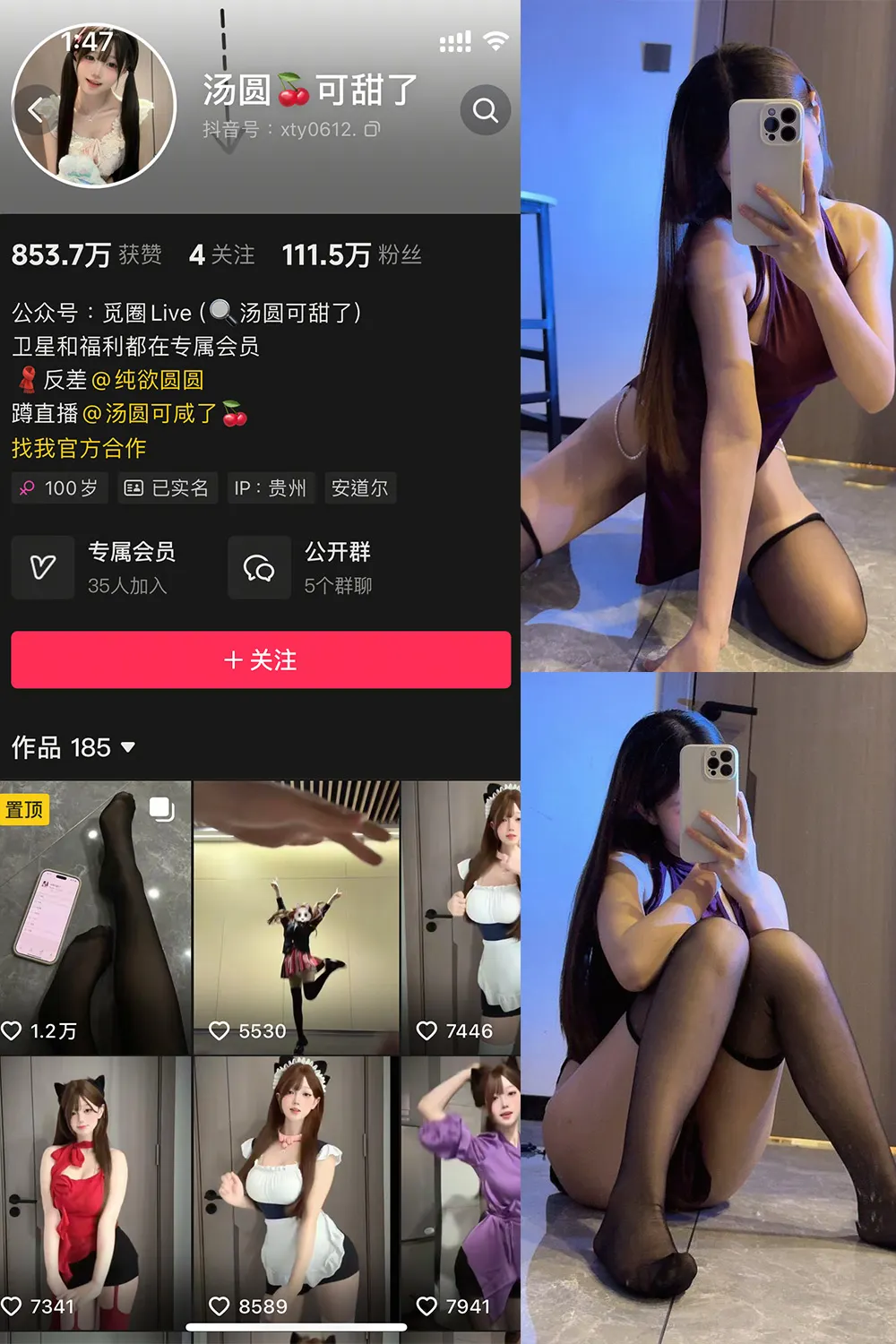 微密圈 | 喵领域