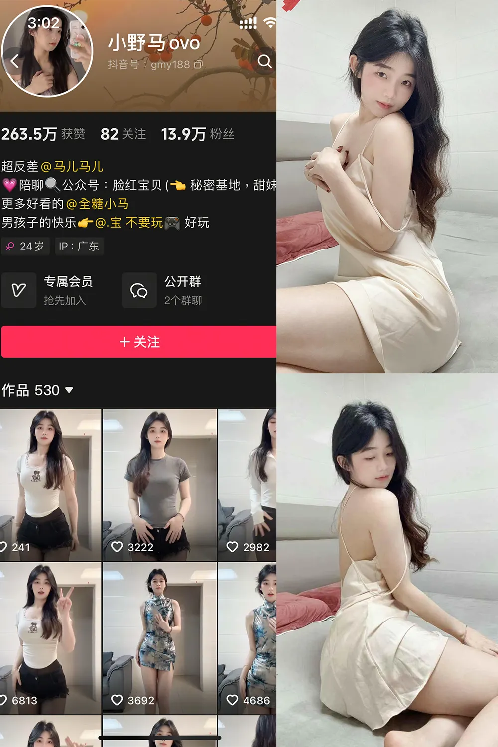 微密圈 | 喵领域