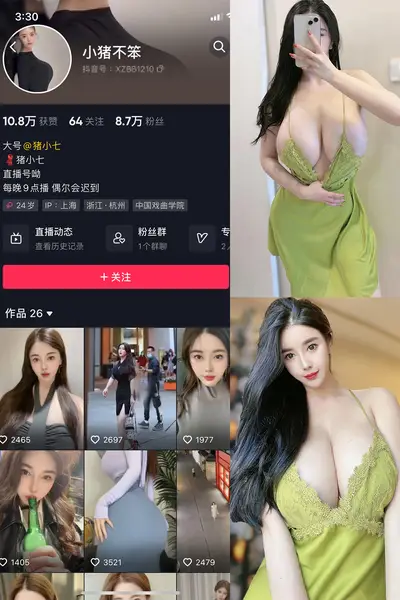 抖音 小猪不笨 微密圈 NO.005期 【93P13V】