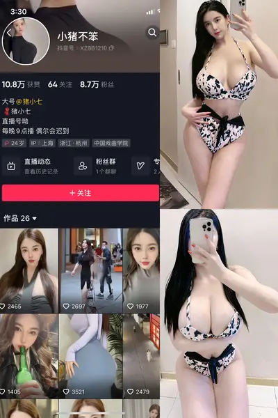 抖音 小猪不笨 微密圈 NO.004期 【88P24V】