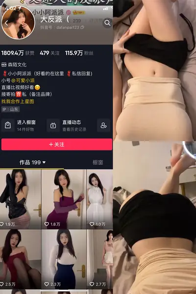 大反派小派 岛遇秘语空间微密圈丝足控反差合集
