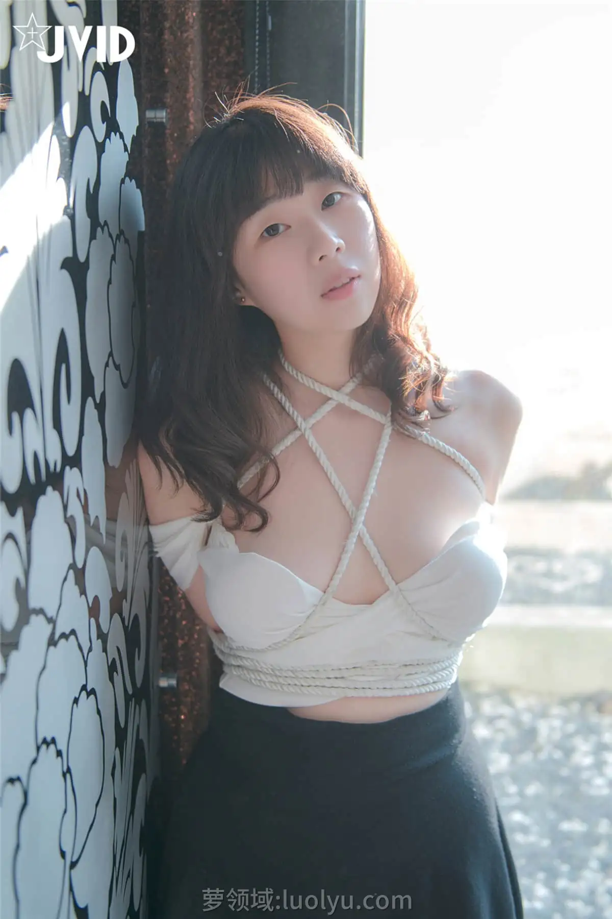 顶级视觉盛宴！JVID 全系列写真合集：探索人体艺术的纯粹曲线美