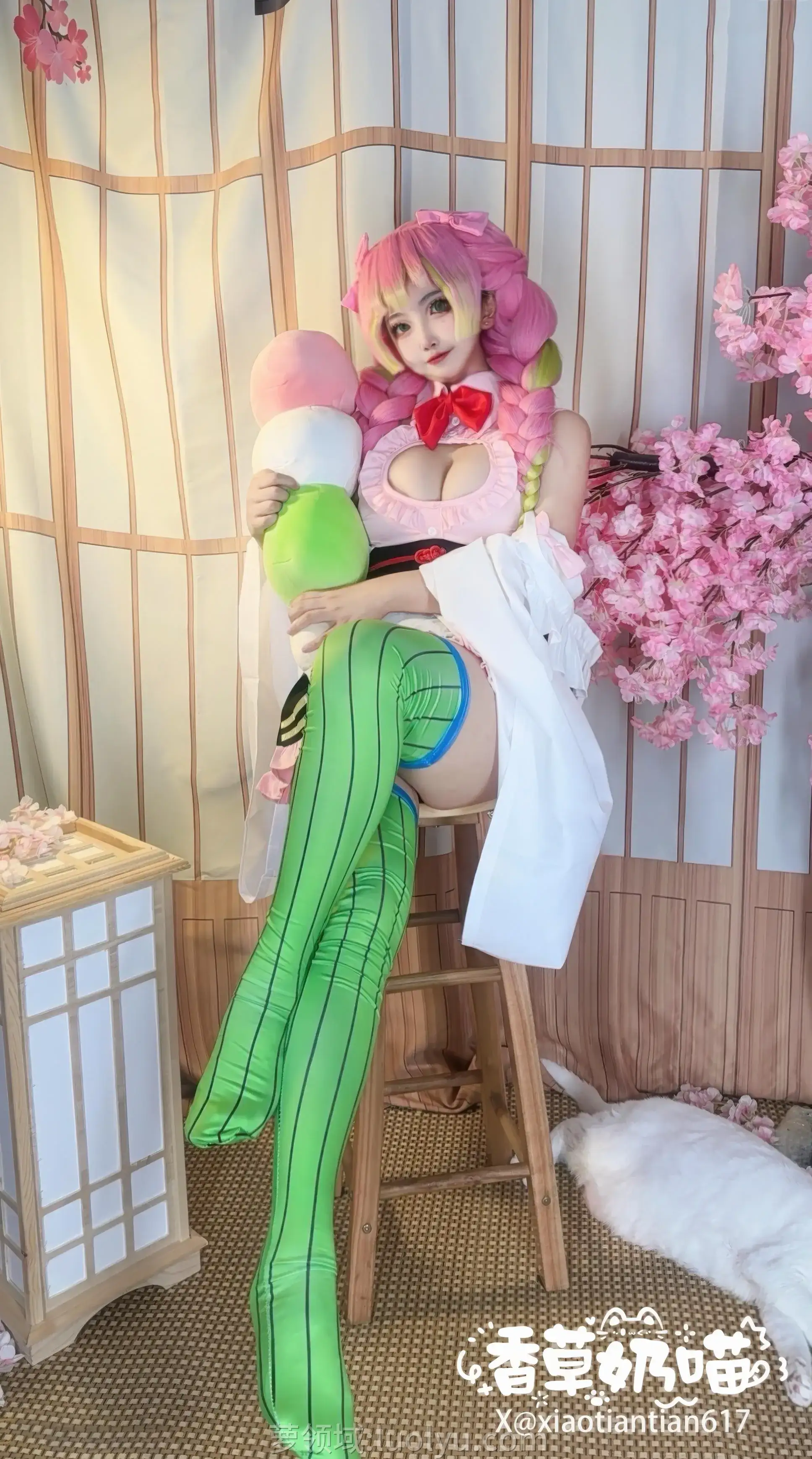 香草奶喵 合集资源COS写真全套下载
